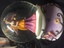 Jessica Galbreths Enchanted Moon Globe Fairy Society 3488